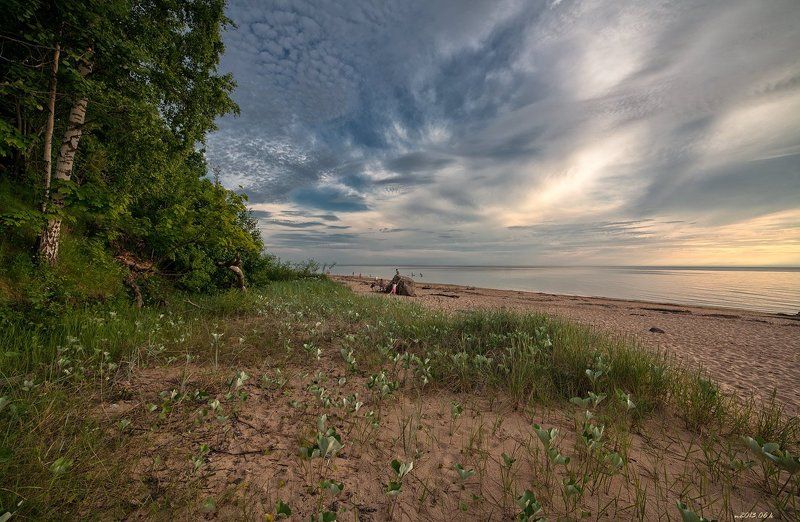 фото превью