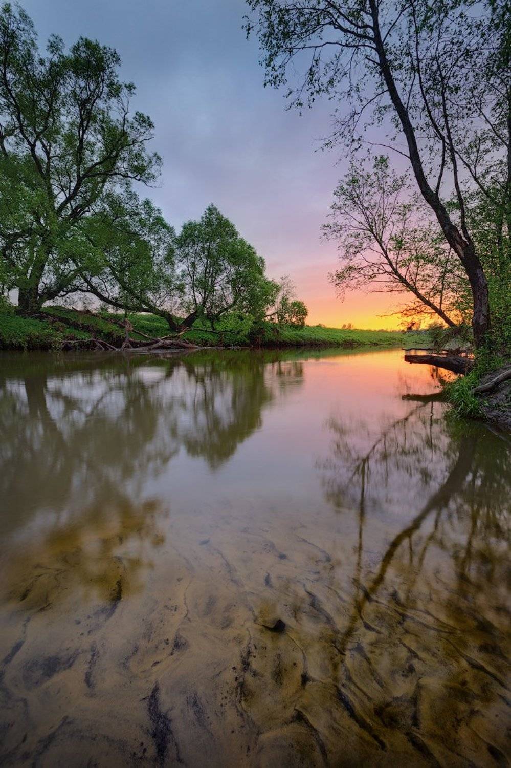 Московская область, Денис Сорокин