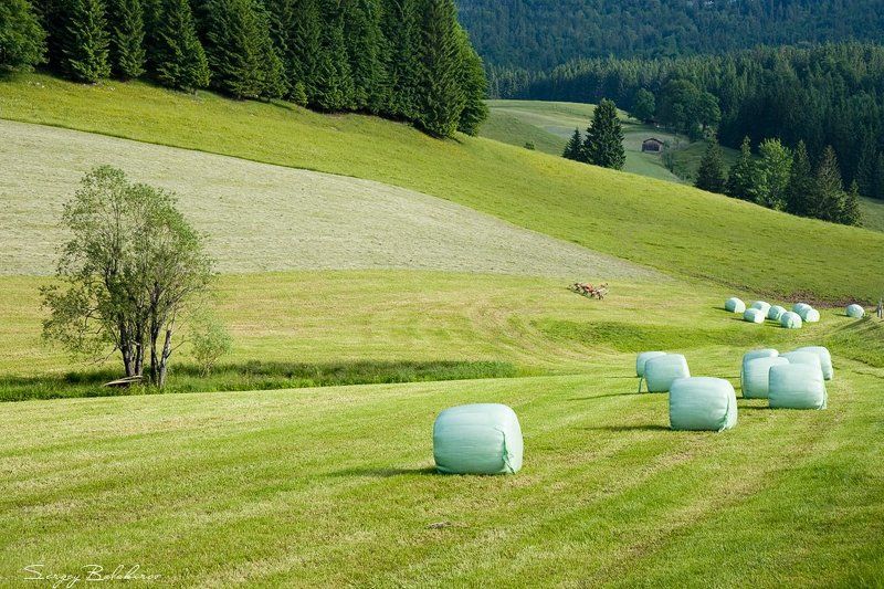 Alpen, Germany, Альпы, Берхтесгаден, Германия  фото превью