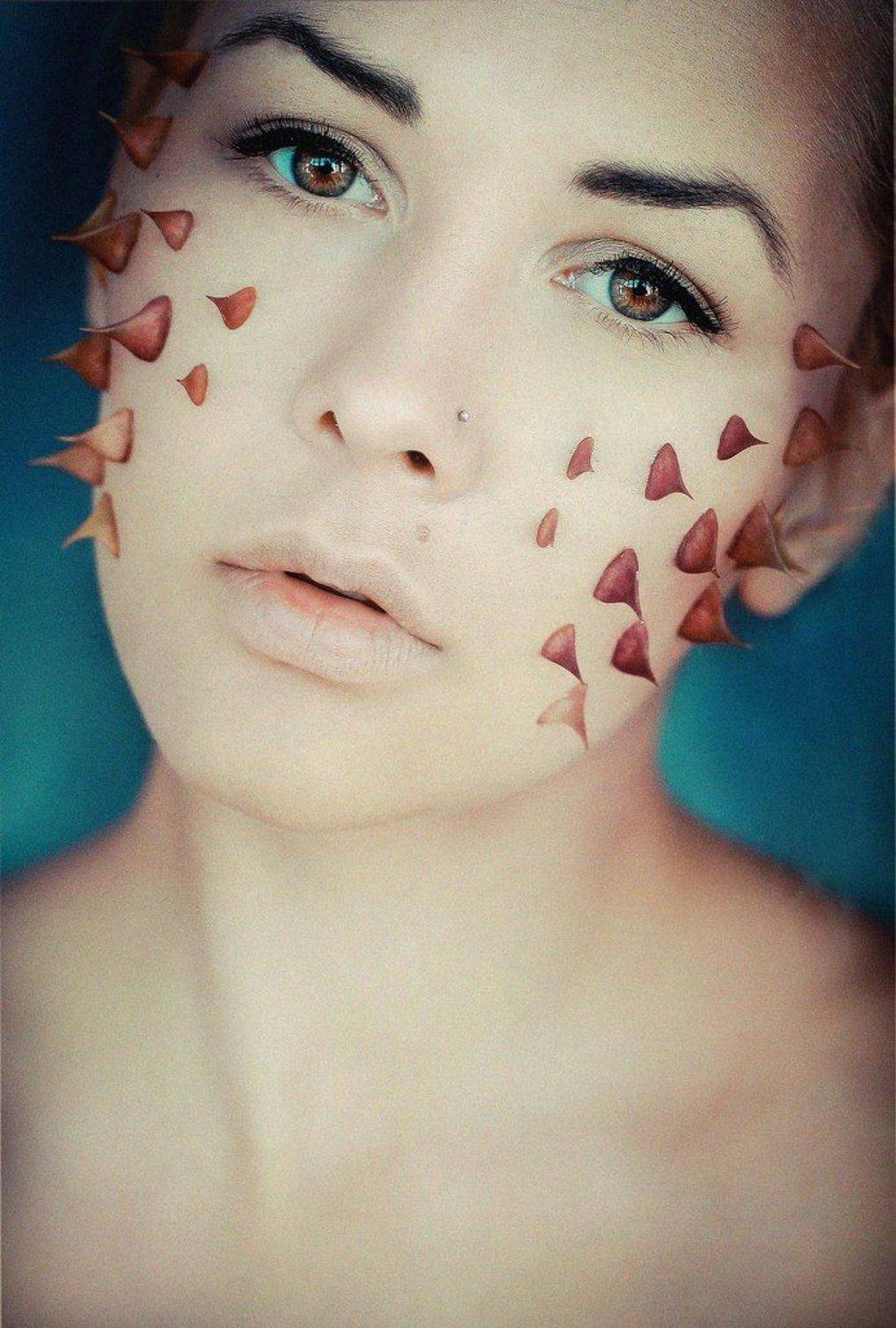 , Вербіцкий Тарас