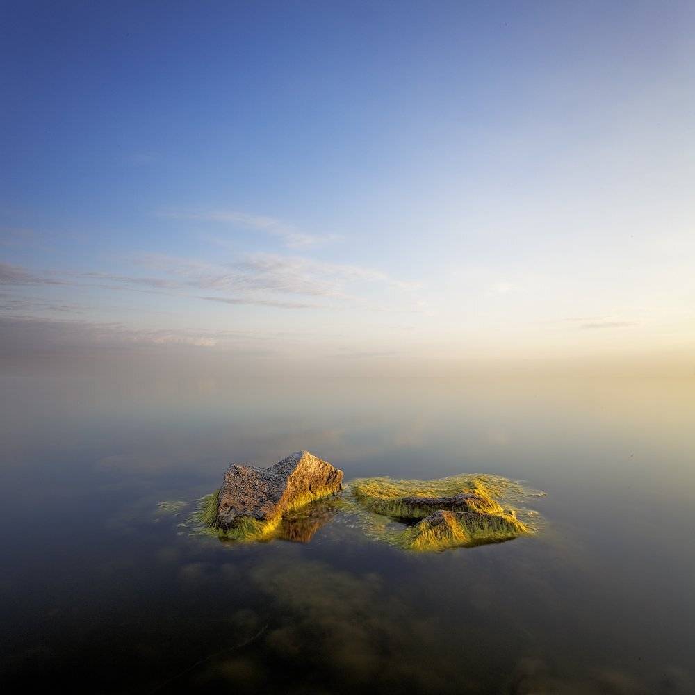 , Данил Ромодин