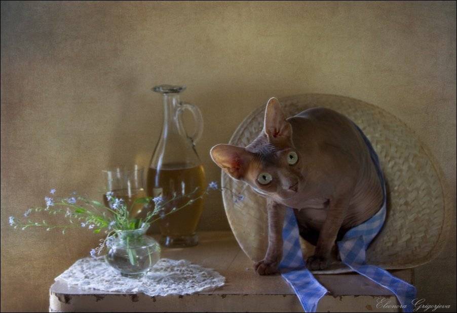 , Eleonora Grigorjeva