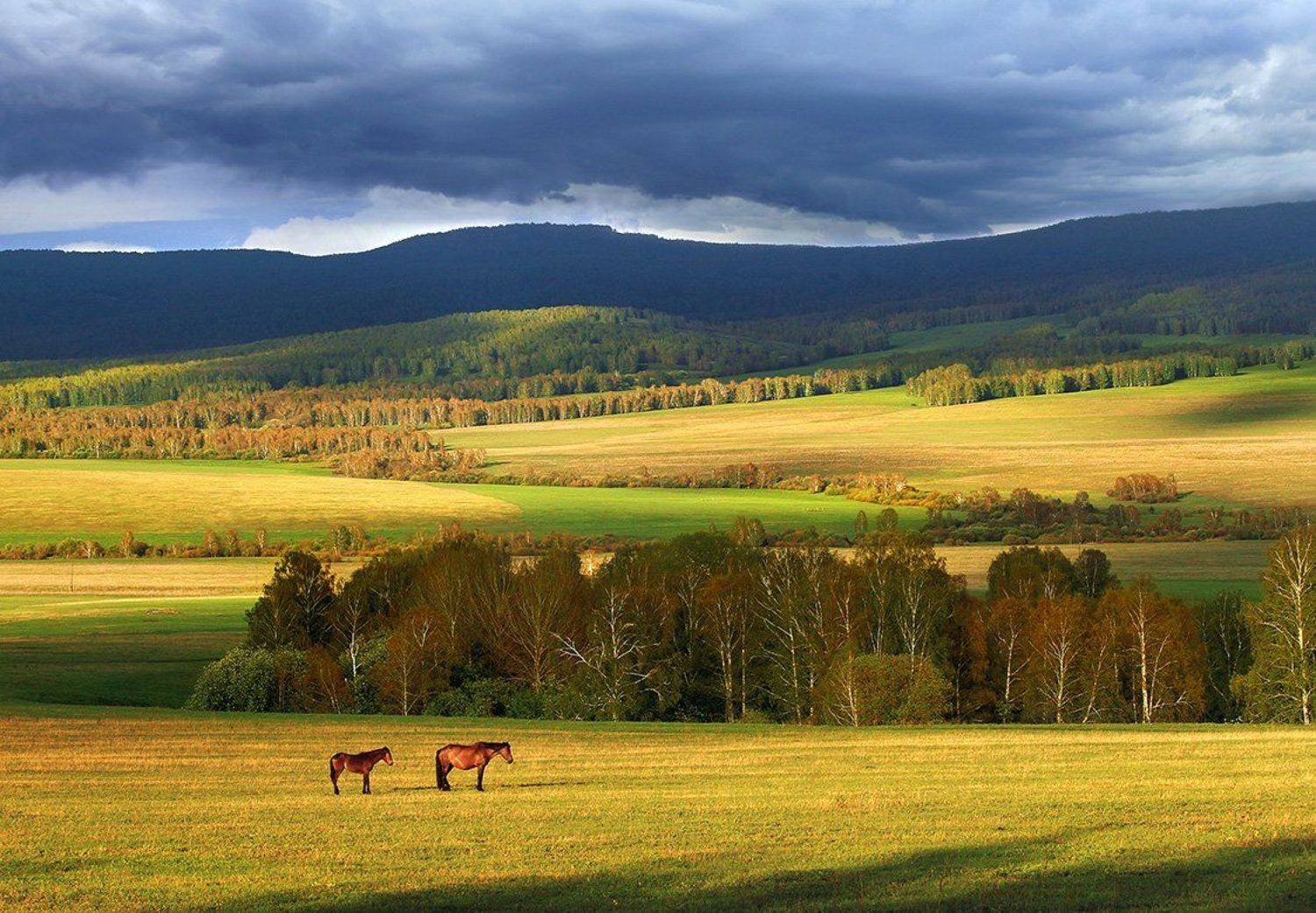 , Александр Сысуев