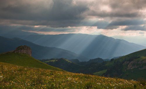 В поисках света