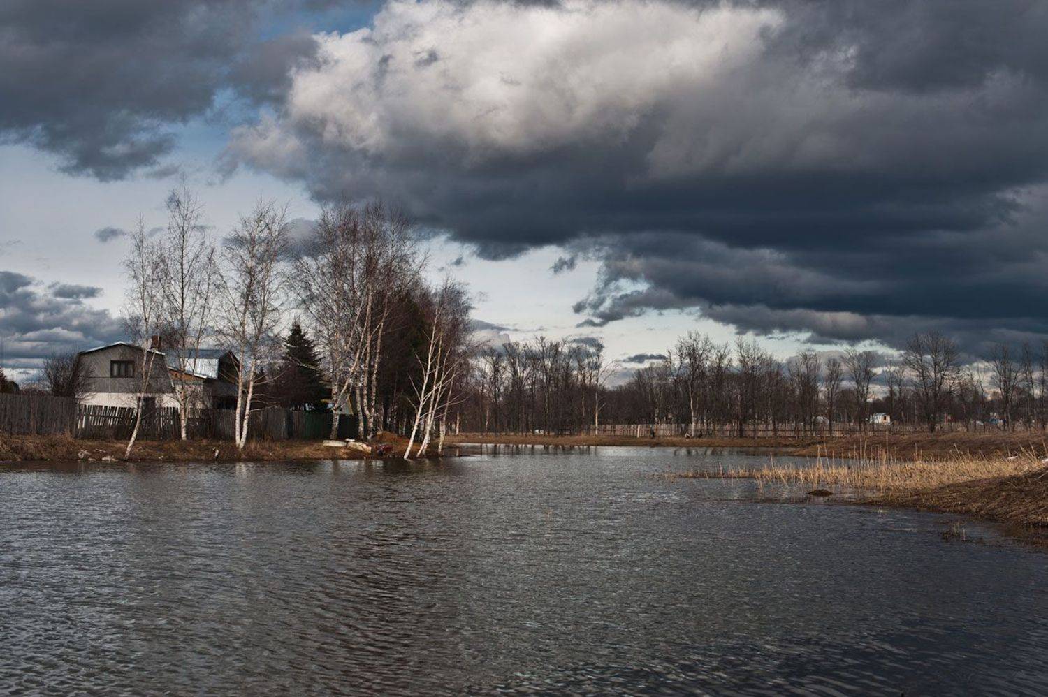 , Павлов Илья