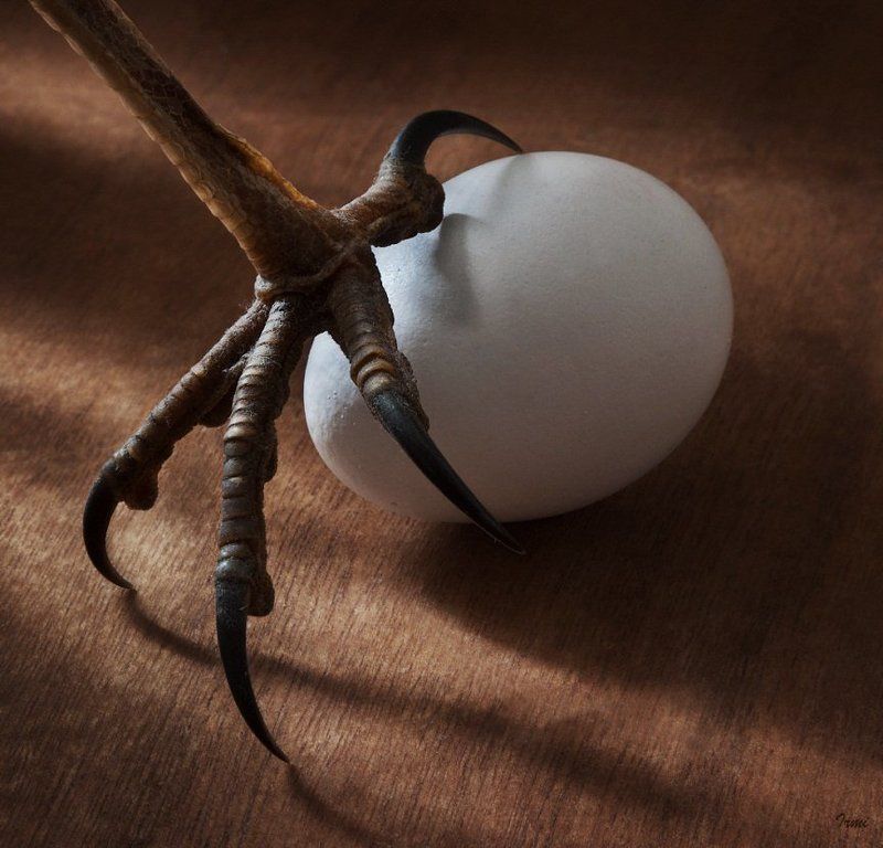 ТАК КТО ЖЕ БЫЛ РАНЬШЕ?! фото превью