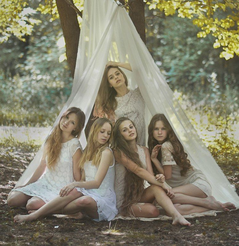 Лес фото превью