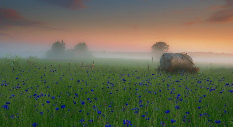 Tverai фото превью