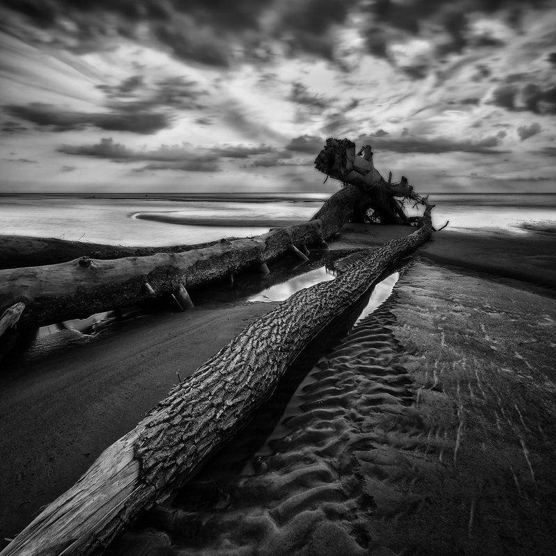 thrown by a storm фото превью