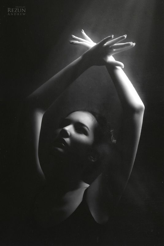 Свет фото превью