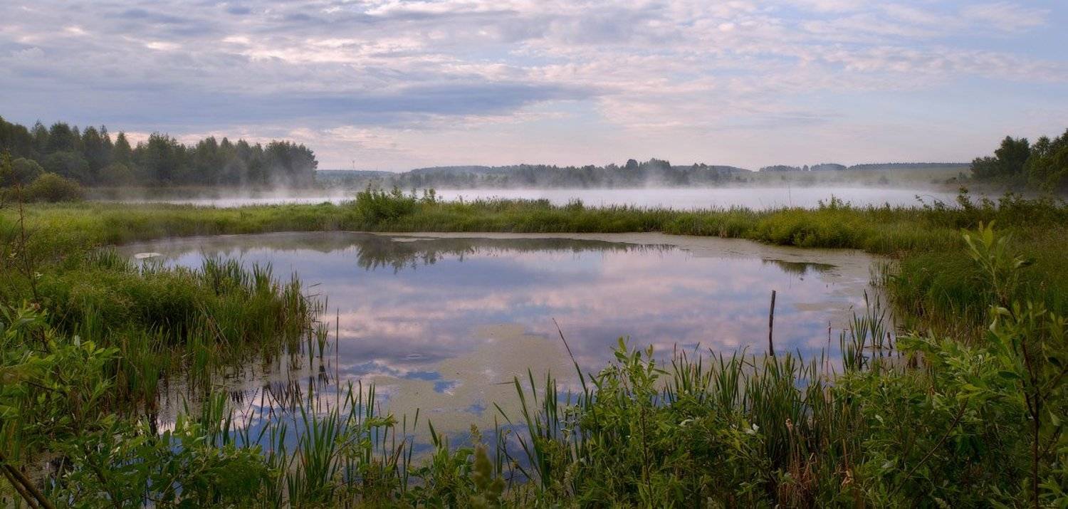 , Дмитрий Алексеев
