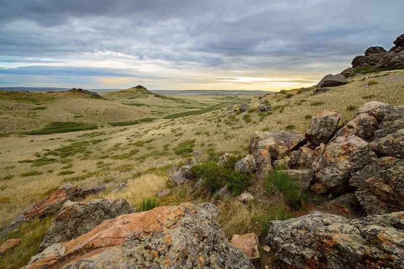 Курма фото превью