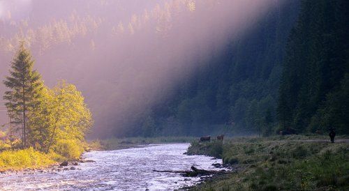 Карпаты.Дорога в Буркут.