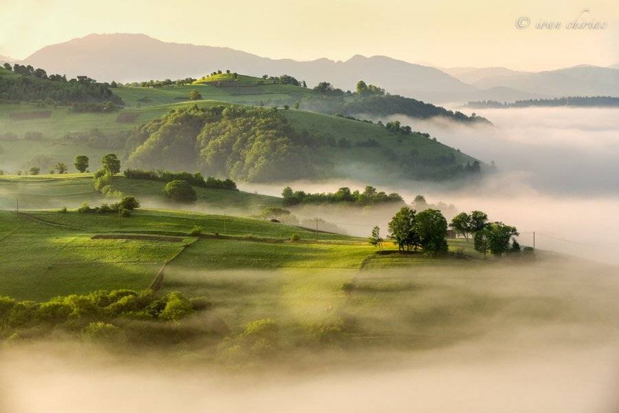 Fog, Fog sunrise, Landscape, Nature, Sunrise, Ioan Chiriac