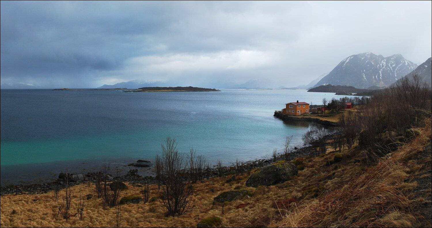 , Крицак Ольга