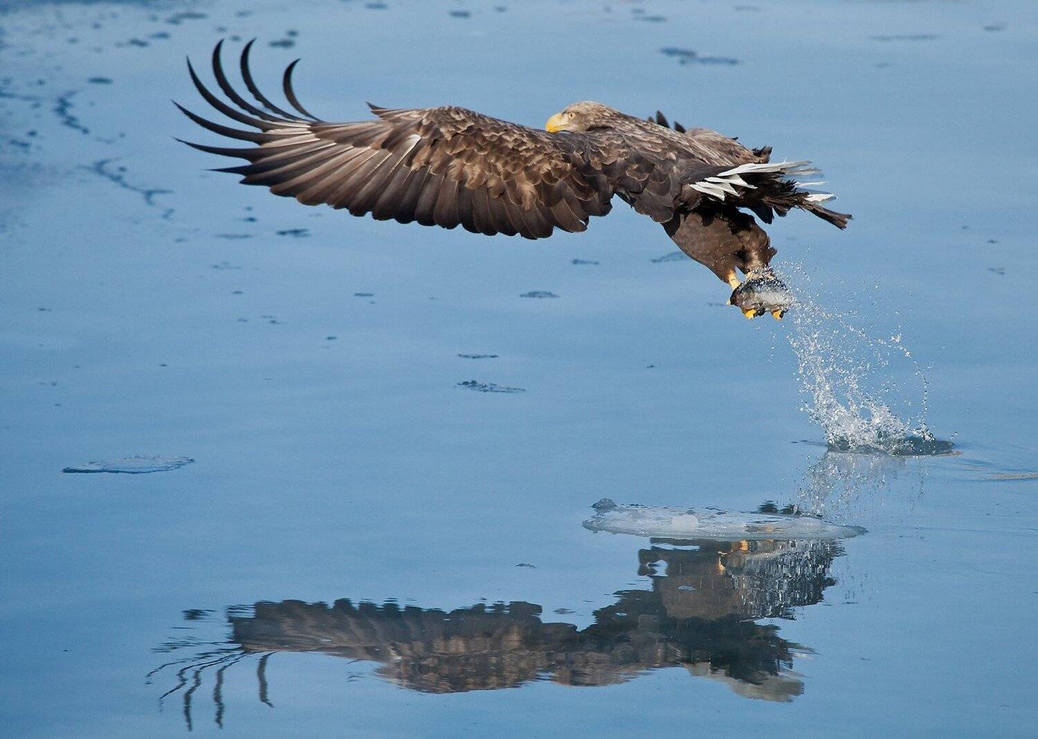 , Евгений Слободской