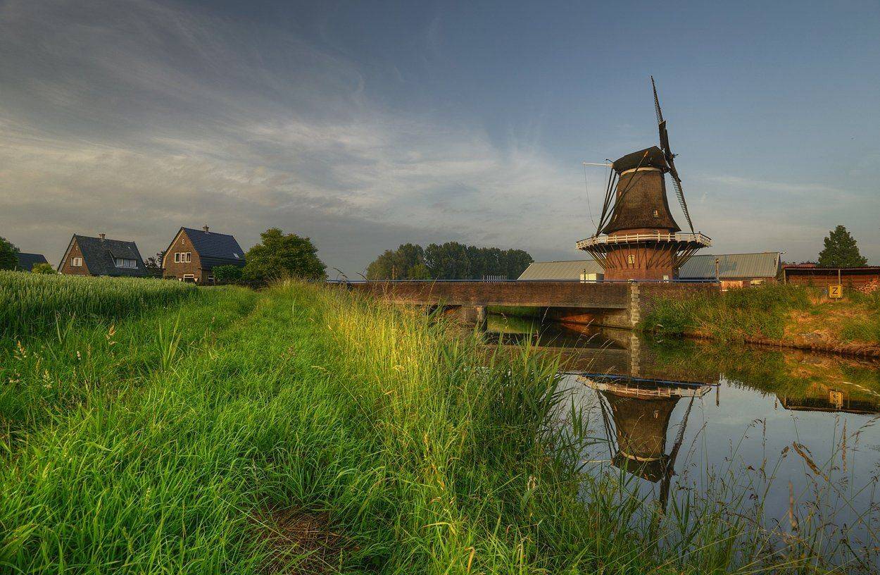 , Румен Паисиев