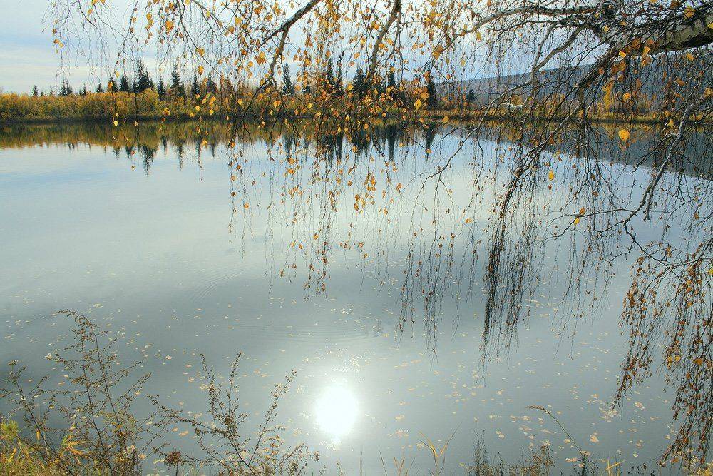 , Николай Морский