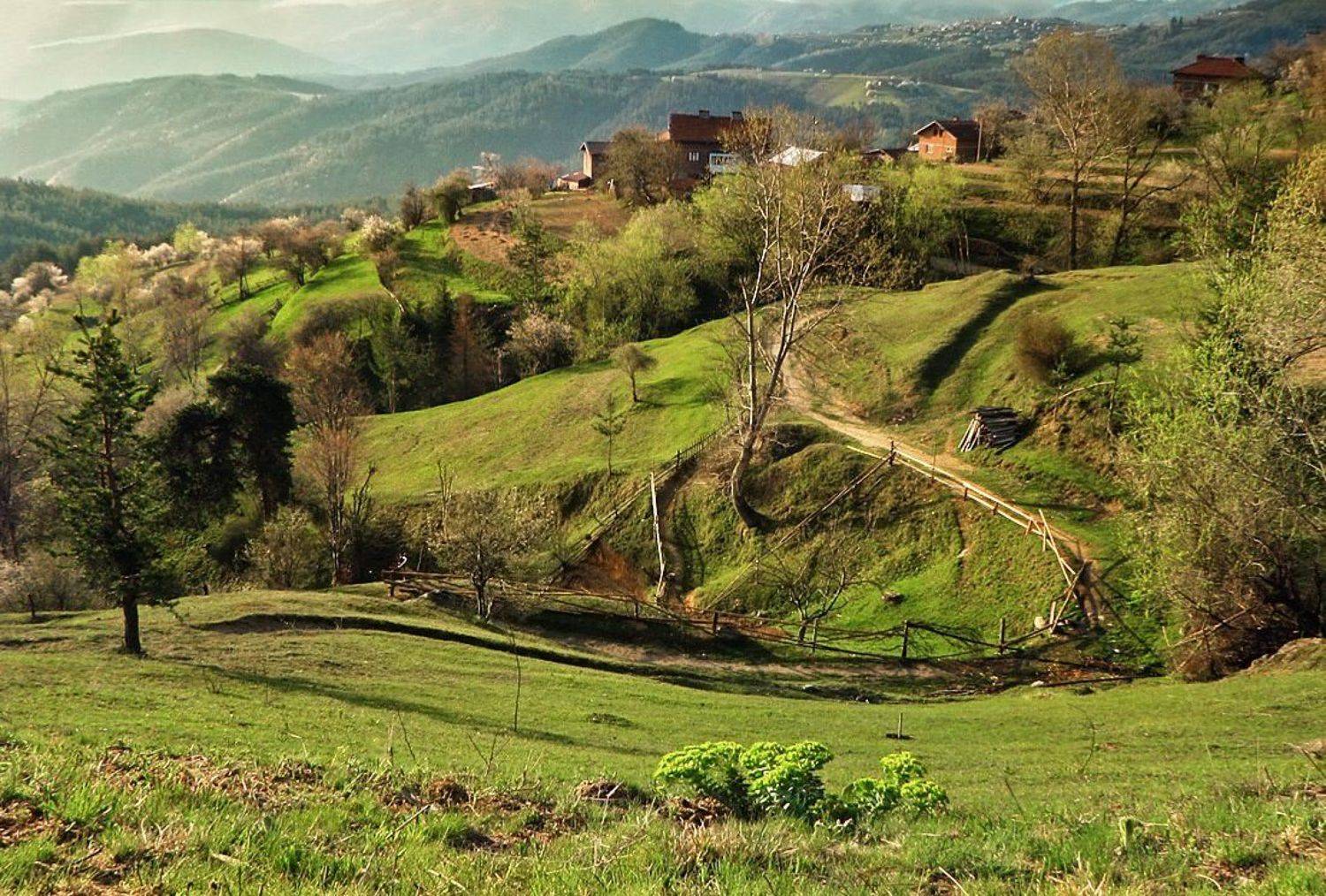 , Ирина Костова