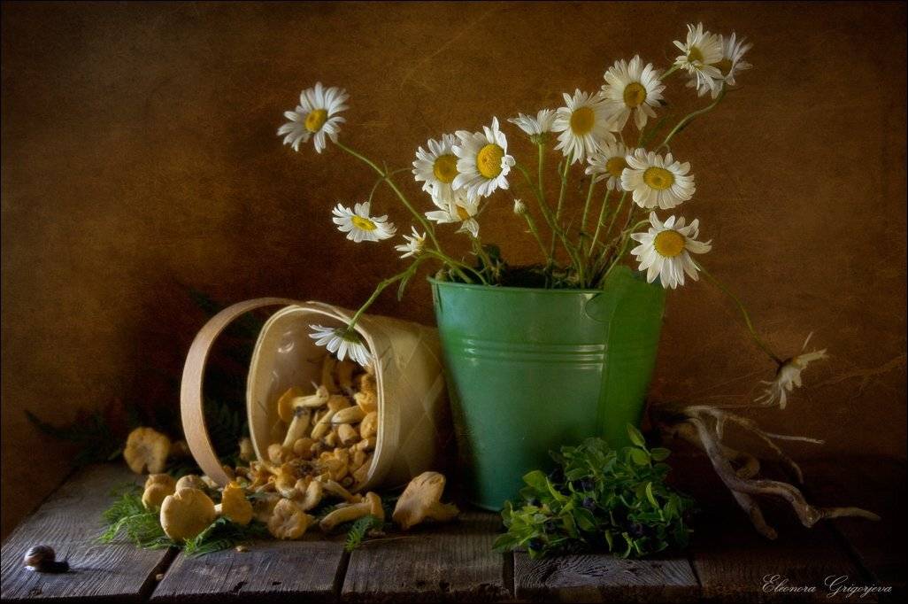 , Eleonora Grigorjeva