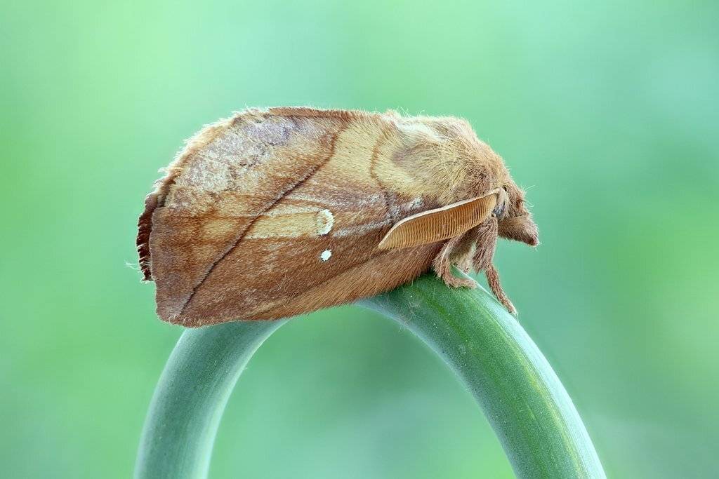 , Сергей Таланов