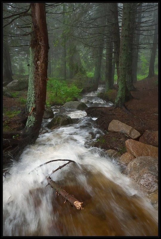 bulgaria, vitosha  фото превью