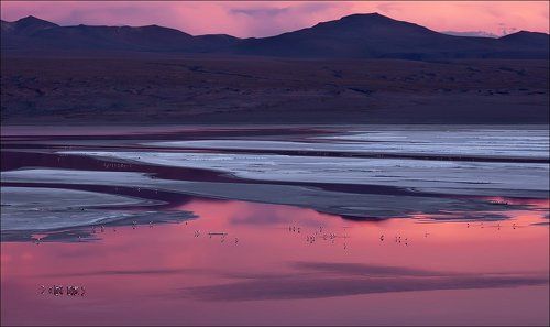 Laguna Colorada