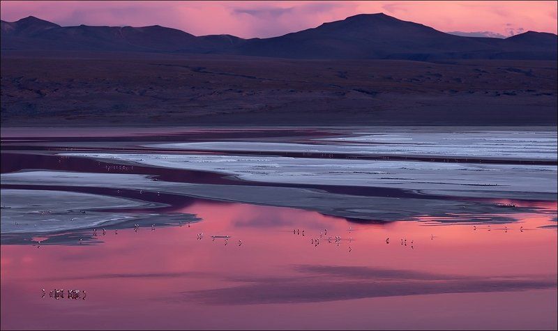 Боливия, Закат, Колорада, Лагуна, Латинская америка, Розовый, Фламинго Laguna Colorada фото превью