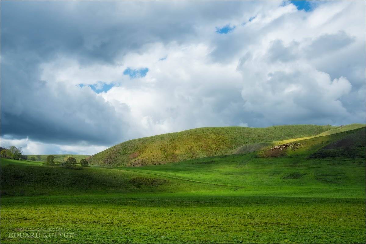 , Кутыгин Эдуард