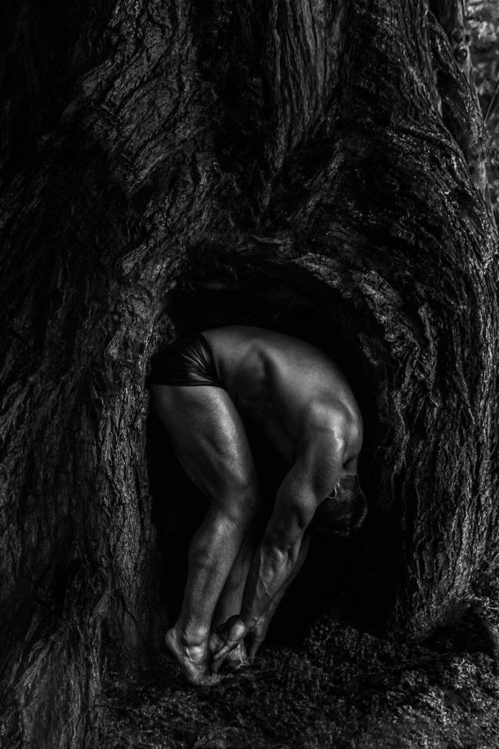 , Екатерина Захарова