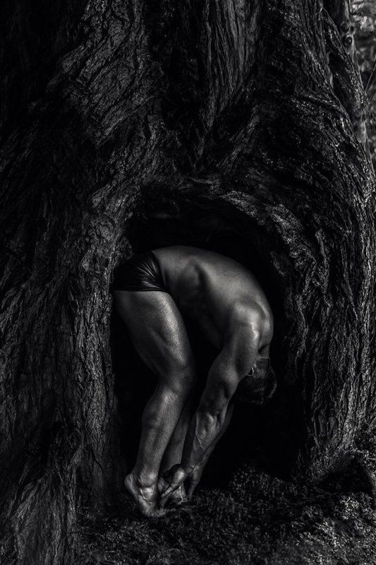 ... фото превью