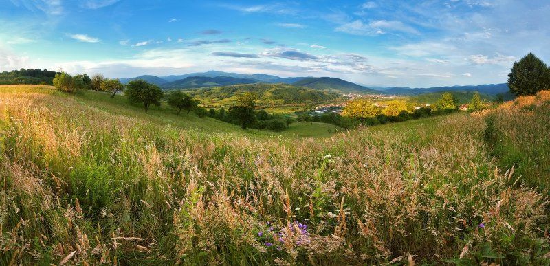 Июнь в Закарпатье фото превью