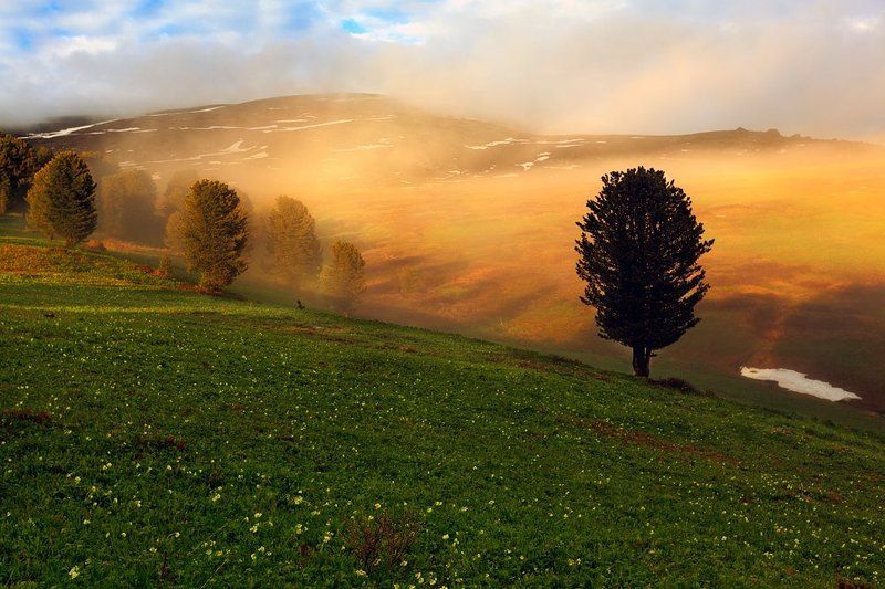 Туманный вечер фото превью
