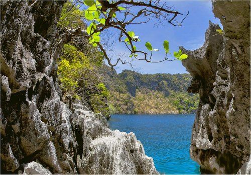 весна на Baracuda Lake