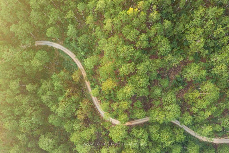 Da Lat 2020 фото превью