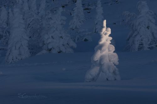 Главный герой