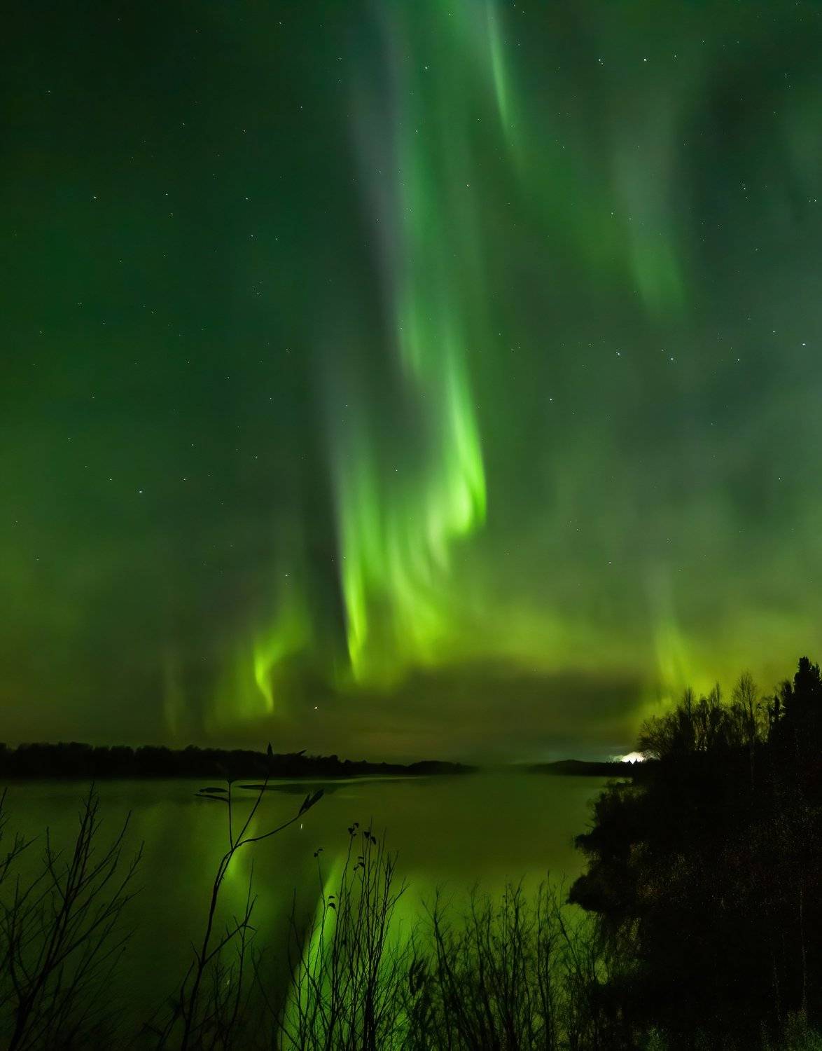 северное сияние,аврора,печора,коми,север,лето,природа,наблюднние,pechora, komi, north, birds, summer, nature, , observation,, Игорь Триер
