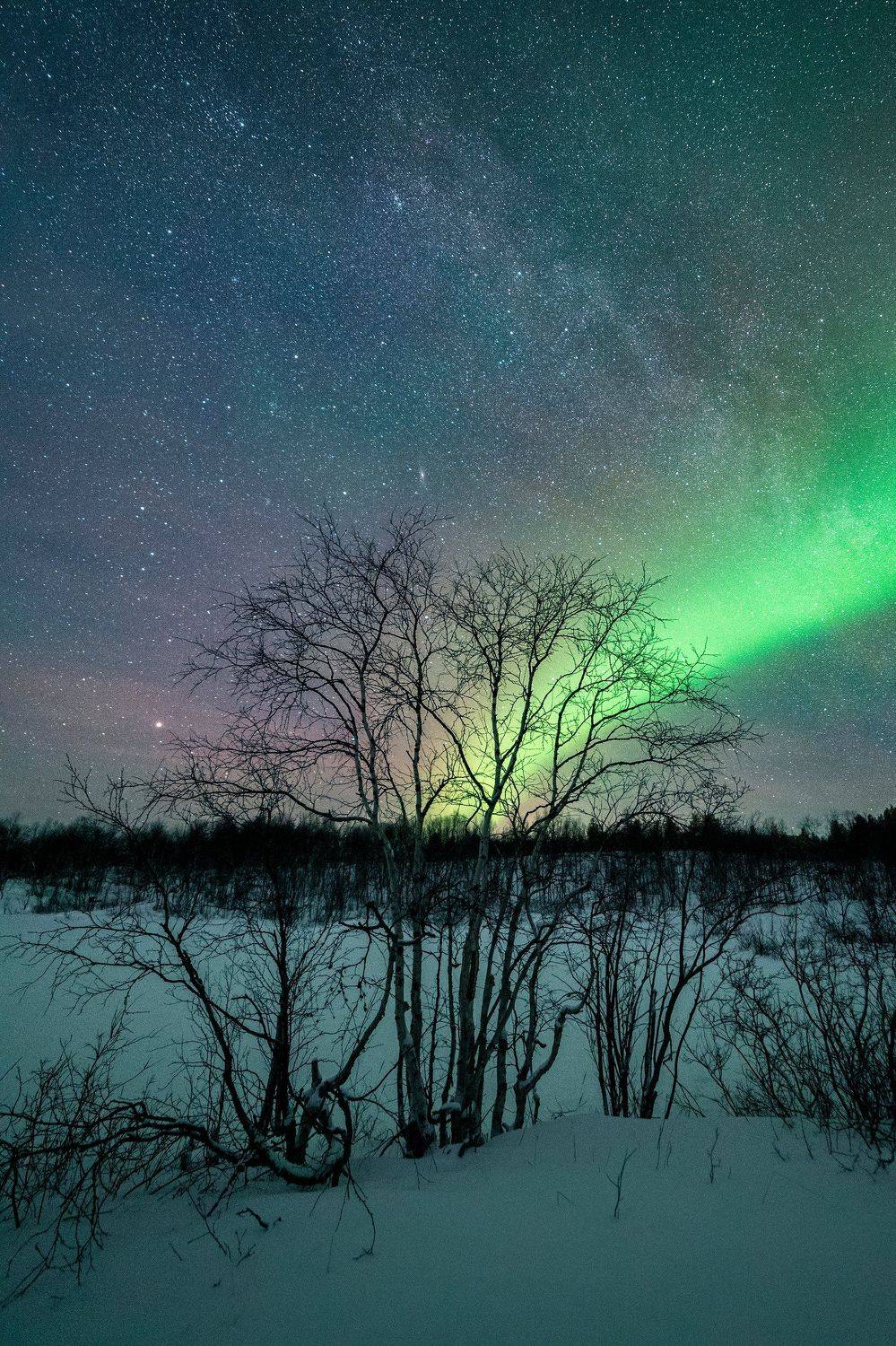, Вадим Ивченко