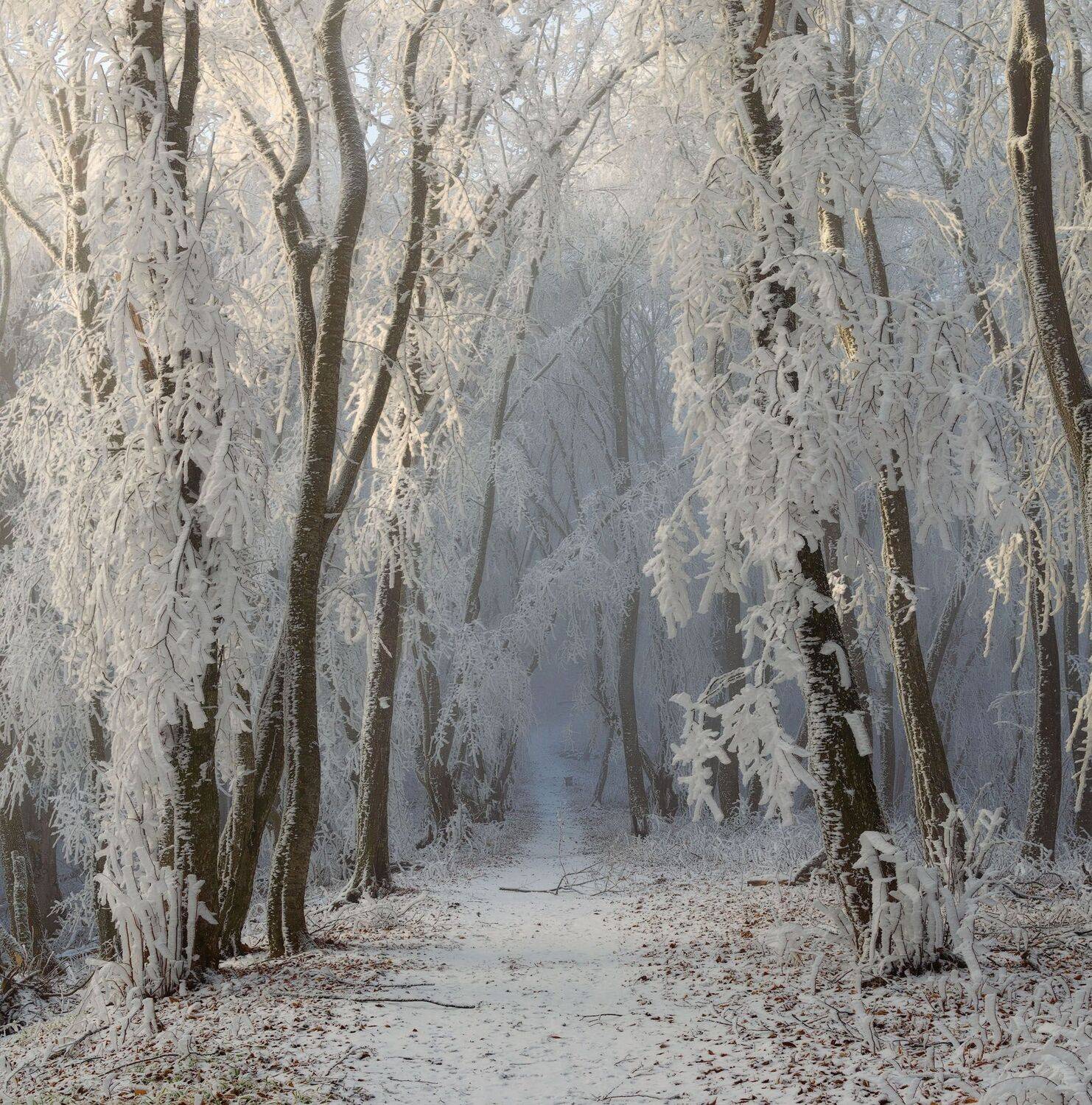 , Шевченко Юрий