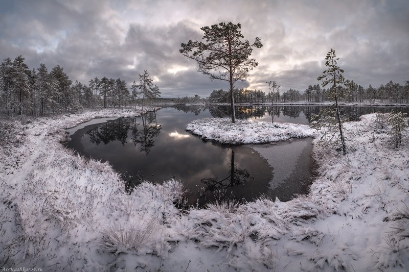 болото, ленобласть, фототур, зимний пейзаж, ленинградская область, первый снег \