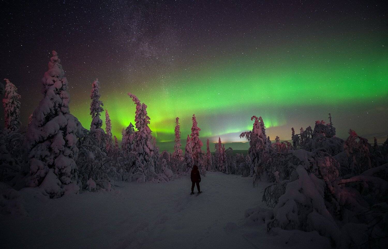 пейзаж,ночь,человек,россия,кольский,север,снег,зима, Виталий Истомин