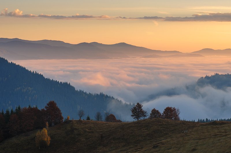 _ фото превью