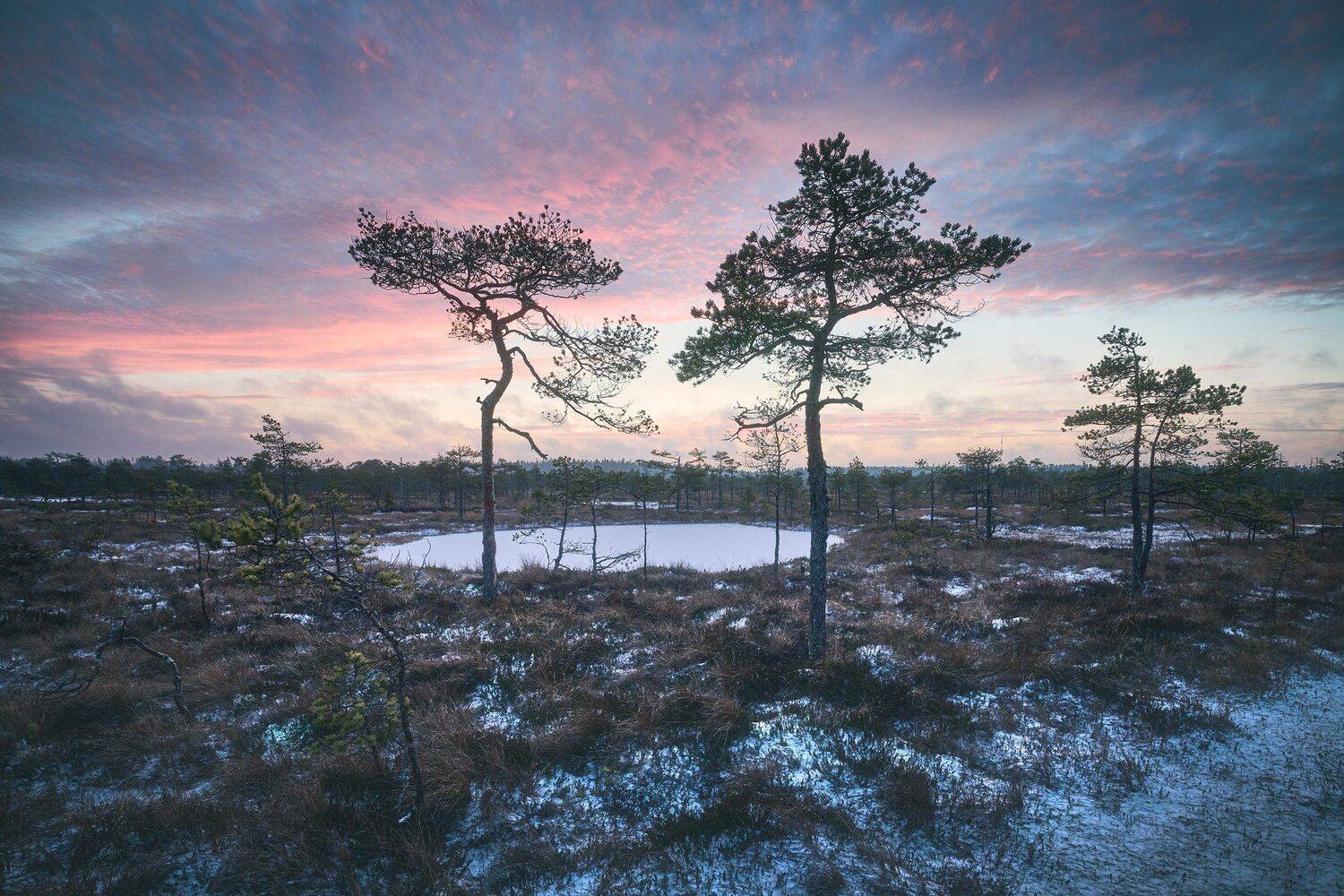 , Антон Кононов