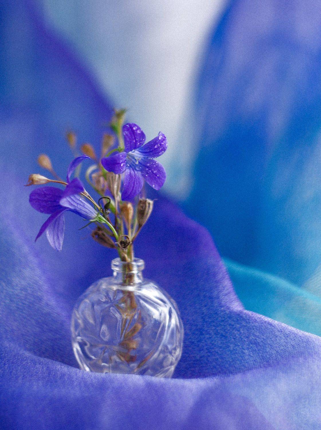 , Наталья Шумилова