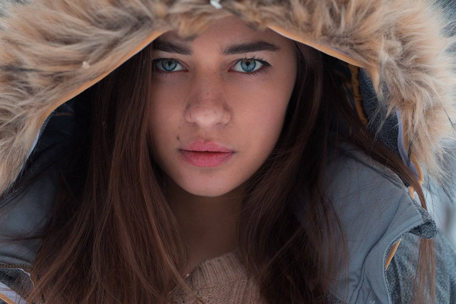 , Шульгин Дмитрий