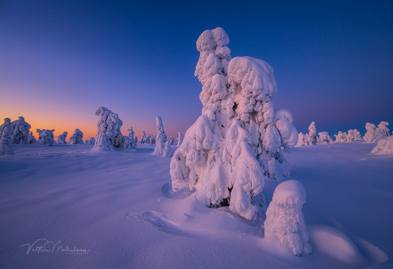 В стране динозавров ... фото превью