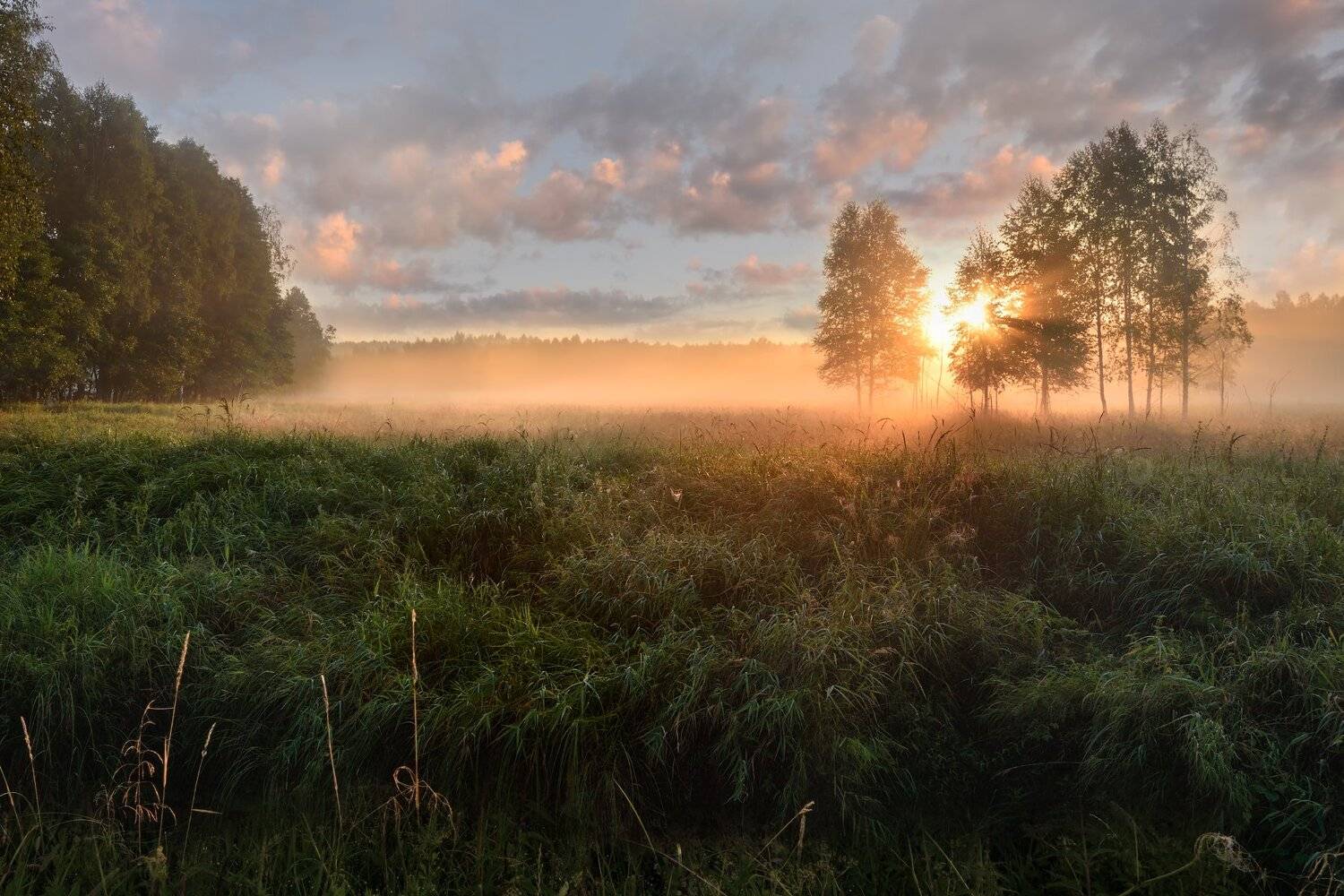 утро,рассвет,туман,лес,свет,солнце,небо,облака, Виталий Полуэктов