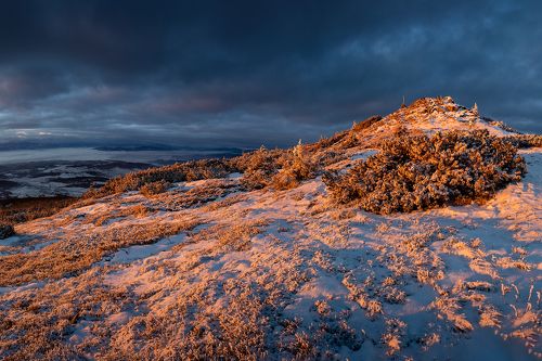 Morning in the Mountains