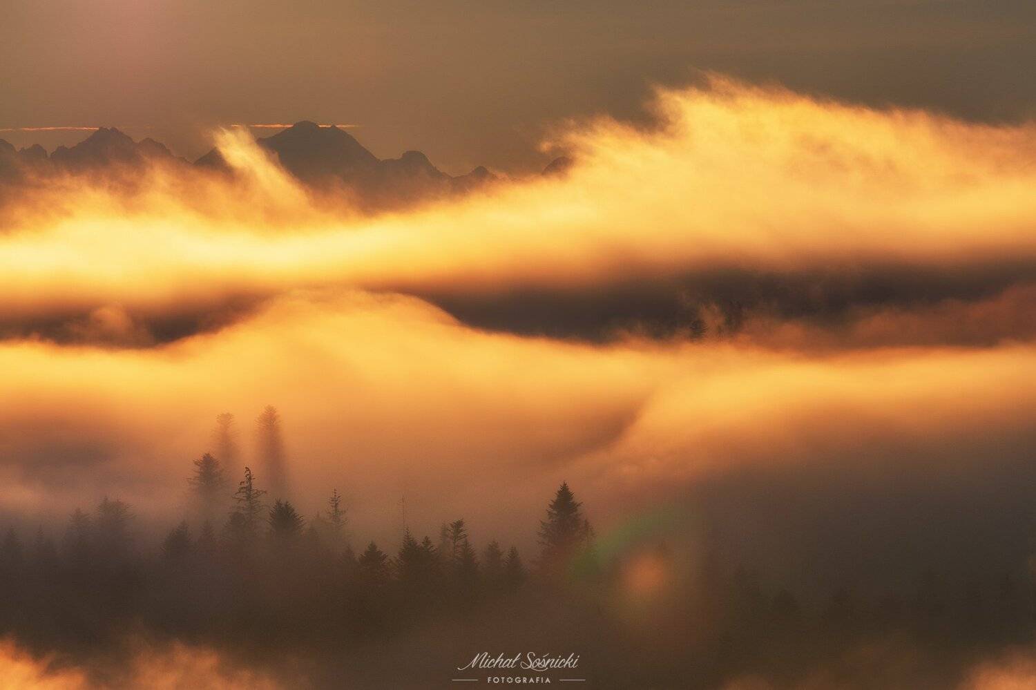 #fog #foggy #mountains #sunrise #today #nature #sea #tree #poland #zawoja #pentax, Michał Sośnicki