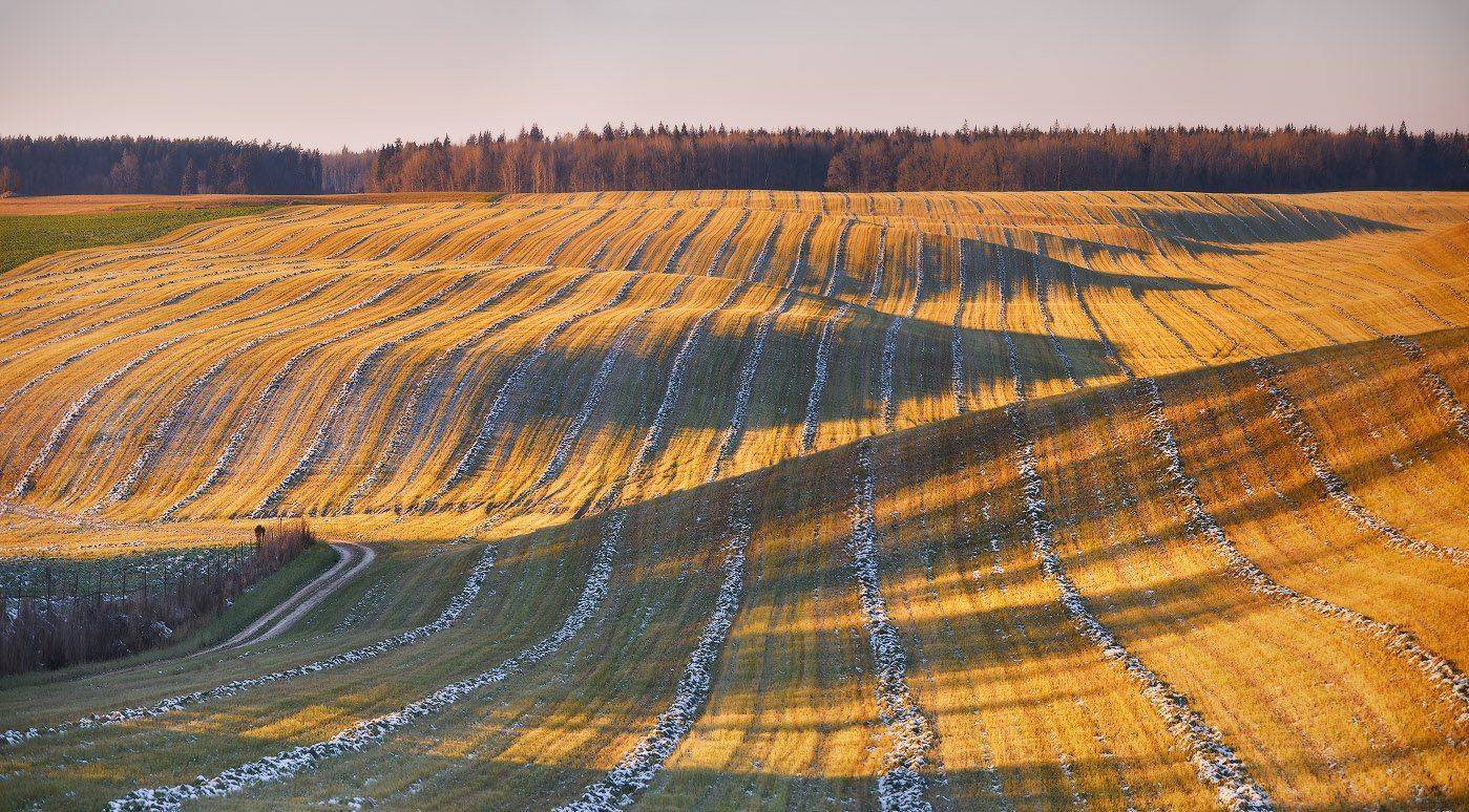 беларусь, вечер, декабрь, закат, зима, минск и окрестности, поля, Вейзе Максим